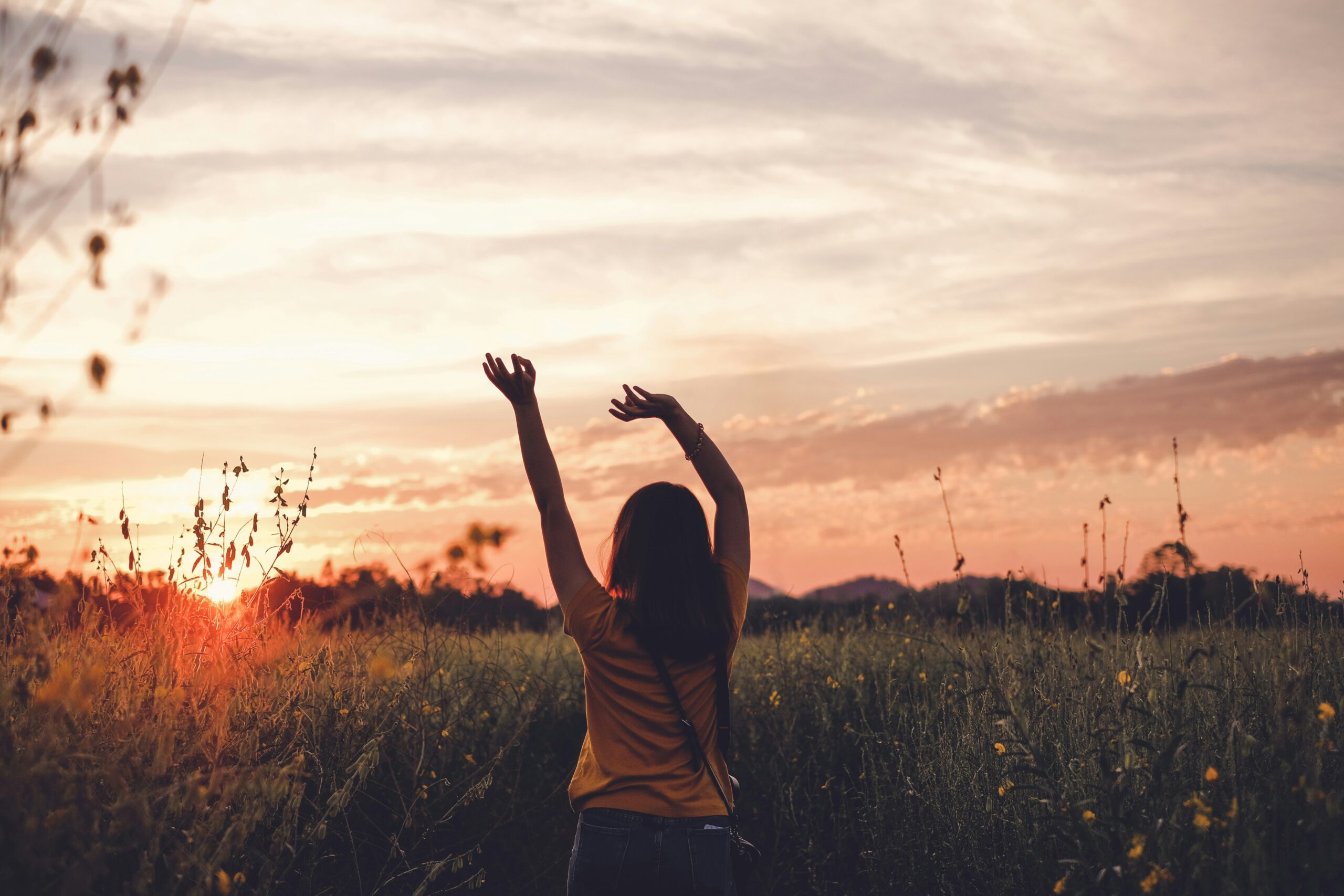 Difference Between Detox and Rehab