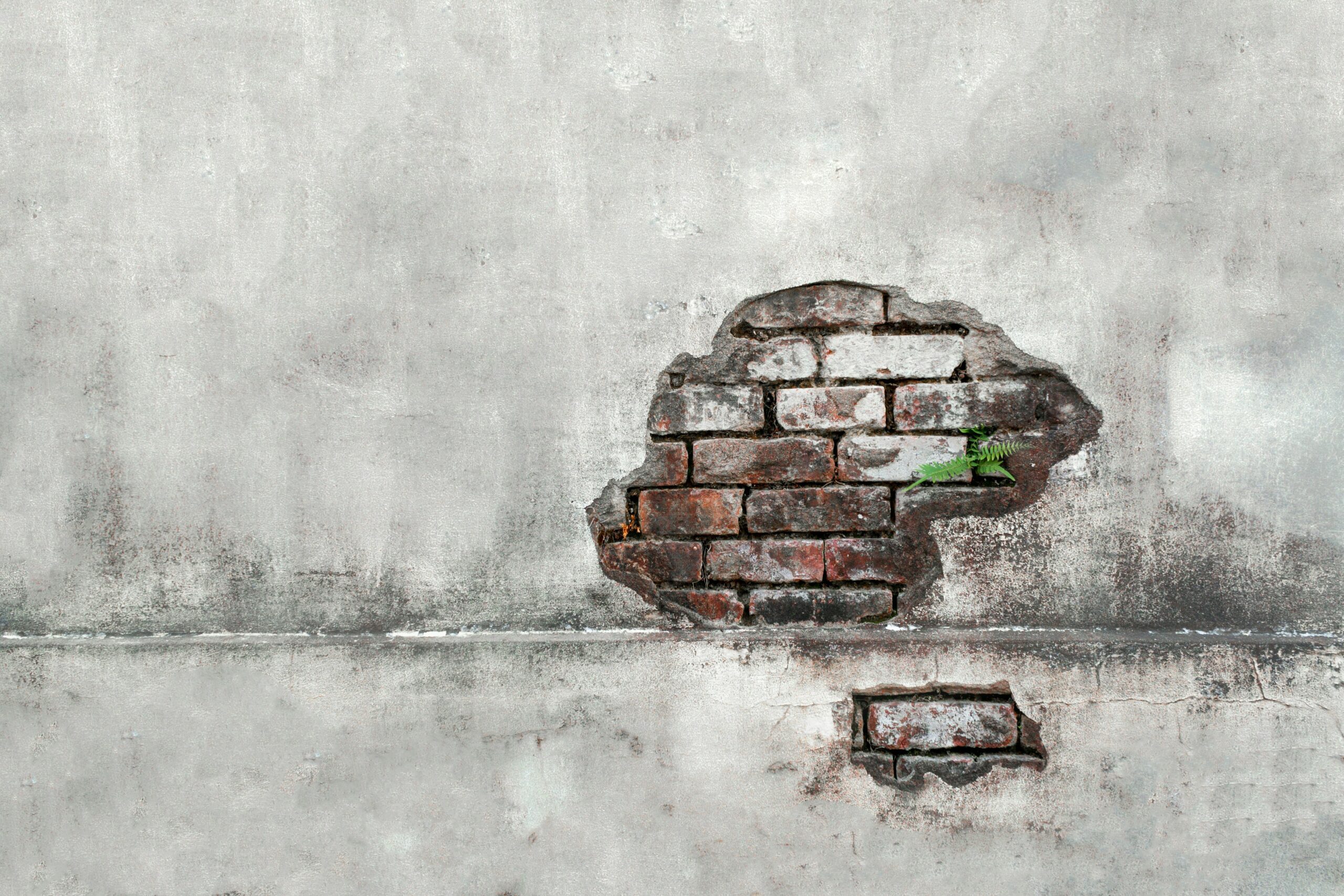Cognitive Behavioral Therapy vs. Dialectical Behavior Therapy